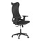 Kancelářská židle Autronic Židle kancelářská, černá MESH, plastový kříž (KA-S248 BK) (11)