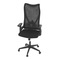 Kancelářská židle Autronic Židle kancelářská, černá MESH, plastový kříž (KA-S248 BK) (13)