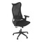 Kancelářská židle Autronic Židle kancelářská, černá MESH, plastový kříž (KA-S248 BK) (23)