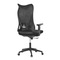 Kancelářská židle Autronic Židle kancelářská, černá MESH, plastový kříž (KA-S248 BK) (8)