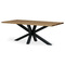 Dřevěný jídelní stůl Autronic Stůl jídelní, 200x100 cm,masiv dub, přírodní hrana, kovová noha Spyder, černý lak (DS-S200 DUB) (2)