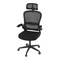 Kancelářská židle Autronic Židle kancelářská, černý mesh, černý plast, nastavitelný podhlavník, bederní opěrka (KA-E530 BK) (13)