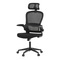 Kancelářská židle Autronic Židle kancelářská, černý mesh, černý plast, nastavitelný podhlavník, bederní opěrka (KA-E530 BK) (2)
