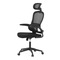 Kancelářská židle Autronic Židle kancelářská, černý mesh, černý plast, nastavitelný podhlavník, bederní opěrka (KA-E530 BK) (3)