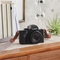 Kompaktní fotoaparát s vyměnitelným objektivem Panasonic Lumix G DC-G100DWEGK W-Kit (5)
