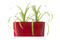 Květináč G21 Combi mini červený 40cm (1)