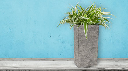 Květináč G21 Natur Tube 35 x 70 x 35 (2)