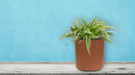 Květináč G21 Element Cork 43 x 43 x 43 (4)