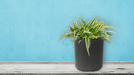 Květináč G21 Industrial Cork 35 x 35 x 35 (4)