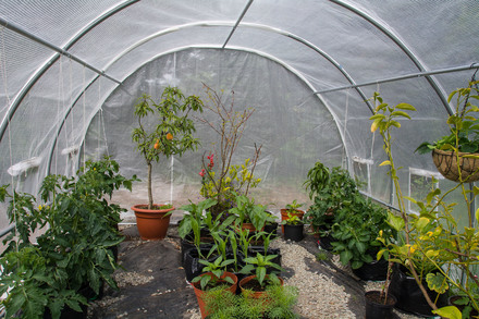 Fóliovník G21 200 x 400 x 200 cm, bílý (2)