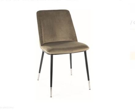 Moderní jídelní židle Signal JILL Velvet černá/chrom/oliva Bluvel 77