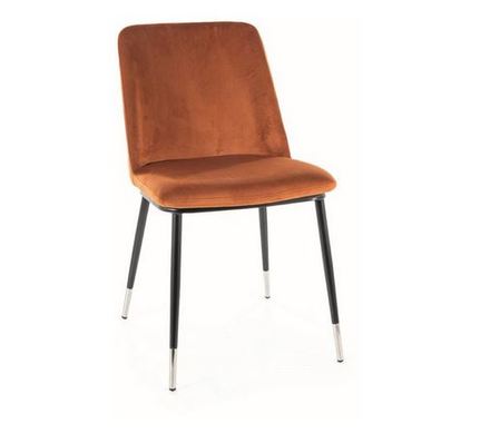 Moderní jídelní židle Signal JILL Velvet černá/chrom/skořice Bluvel 4215