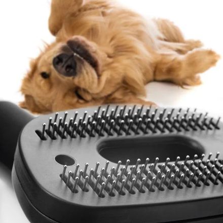 Bezsáčkový podlahový vysavač Concept 4A RADICAL Pet Expert VP5240n (2)