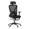 Kancelářská židle Autronic Židle kancelářská, černá MESH, plastový kříž, opěrka nohou, posuvný sedák, 2D područky (KA-S257 BK) (12)