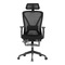 Kancelářská židle Autronic Židle kancelářská, černá MESH, plastový kříž, opěrka nohou, posuvný sedák, 2D područky (KA-S257 BK) (1)