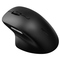 Počítačová myš Rapoo M50 Plus Silent - černá (1)