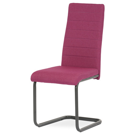 Moderní jídelní židle Autronic Židle jídelní, červená látka, kov antracit (DCL-400 RED2)