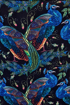 Křeslo Halmar PAGONI černá (tkanina Bluvel #19) (1p=1szt) (6)