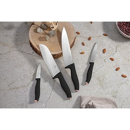 Sada nožů Berlingerhaus BH-2956 4 ks nerez Black Rose Collection (1)