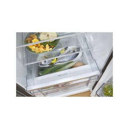 Monoklimatická chladnička Gorenje R619CSXL6 (5)