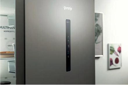 Kombinovaná chladnička Gorenje NRK619CA2XL4 (8)