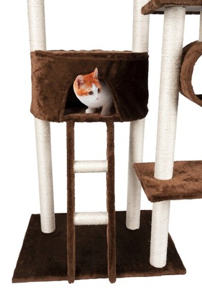 Škrábadlo pro kočky Pet Comfort ED-226636 s pelíškem 165 cm (4)