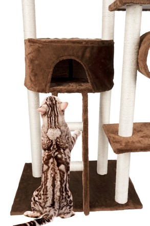 Škrábadlo pro kočky Pet Comfort ED-226636 s pelíškem 165 cm (5)