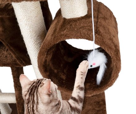 Škrábadlo pro kočky Pet Comfort ED-226636 s pelíškem 165 cm (6)