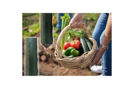 Tyč zahradní Euro nářadí 145655Q Tyč zahradní poplastovaná, 150 cm x 11 mm, Garden SB (2)