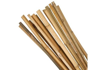Tyč bamboo Euro nářadí 145443 Tyč bamboo, průměr 1 - 1,5 cm, délka 50 cm