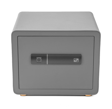 Trezor G21 na otisk prstu 380 x 310 x 300 mm (1)