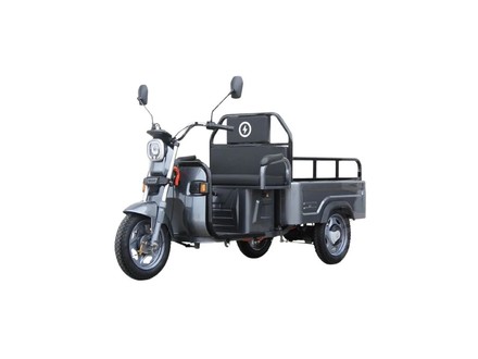Elektrická nákladní tříkolka Energy Adventure ADVENTO 2, redukce rychlosti, 32Ah, šedá (1)