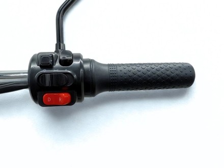 Elektrická nákladní tříkolka Energy Adventure ADVENTO 2, redukce rychlosti, 32Ah, šedá (7)