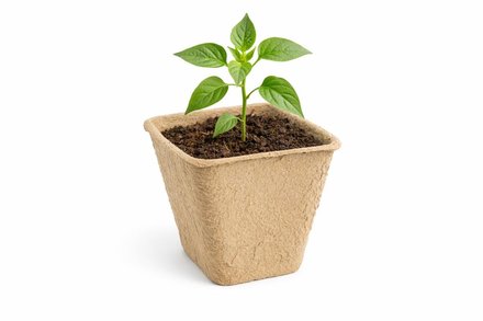 Sadbovač Euro nářadí 150525 papírový 8 x 8 x 7,5 cm, bal. 20 ks