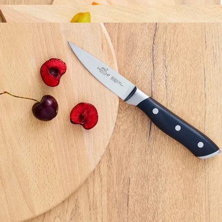 Nůž Lion Sabatier International 790980 Hercules, délka ostří 9 cm (1)