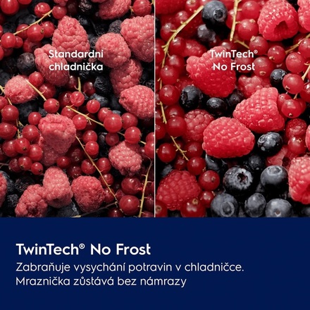Kombinovaná chladnička Electrolux 600 NoFrost CoolAssist TNL6HC37U1 (2)