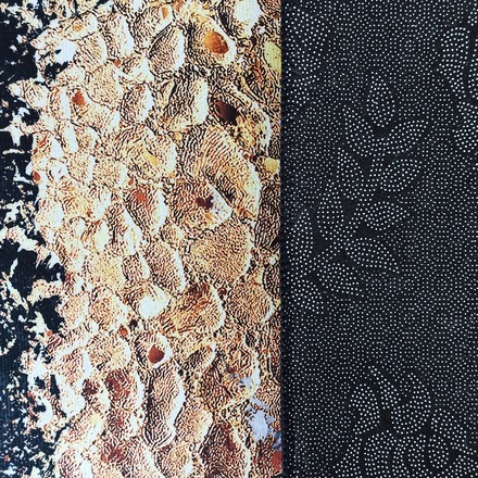 Kusový koberec Dywanopol BLACK AND GOLDN 13, 160 x 220 cm (1)