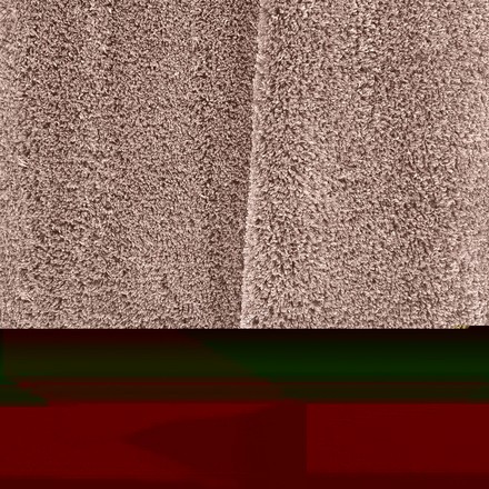 Kusový koberec Dywanopol SANTO Rose, 80 x 150 cm (3)
