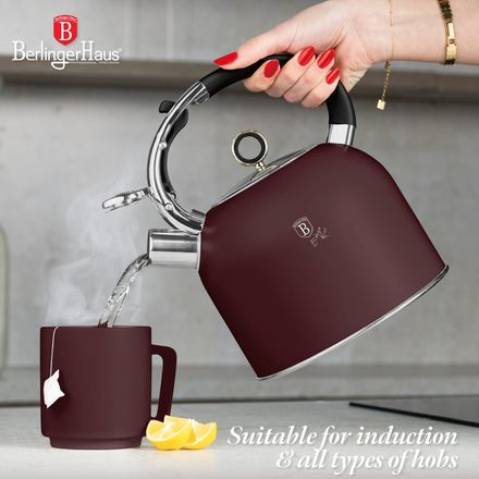 Konvice se skleněným víkem Berlingerhaus BH-8919 3 l Leonardo Collection (2)