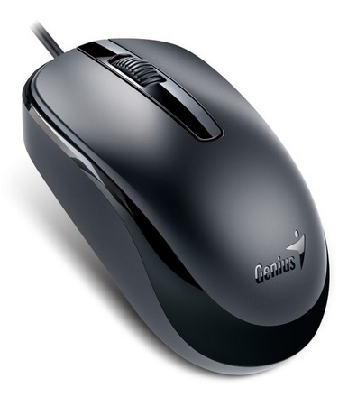 Počítačová myš Genius DX-120 31010105106
