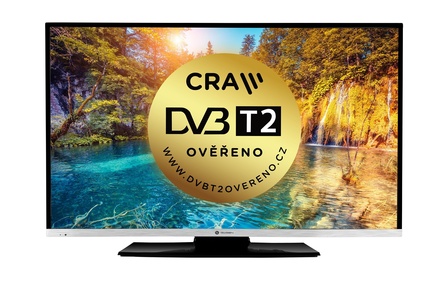 LED televize GoGEN TVF 43N384 STWEB (1)
